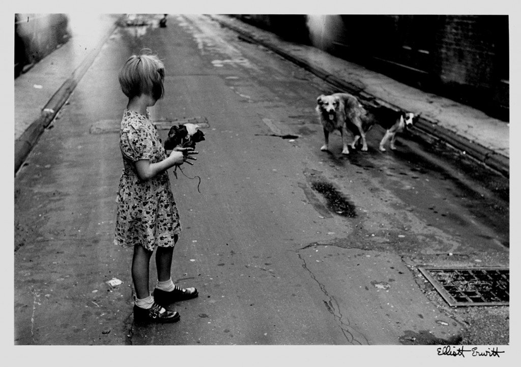  "DOGS IN A STREET" BY ELLIOTT ERWITT